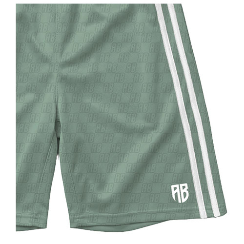 Antetokounbros Ανδρικό σορτς AB Basketball Shorts